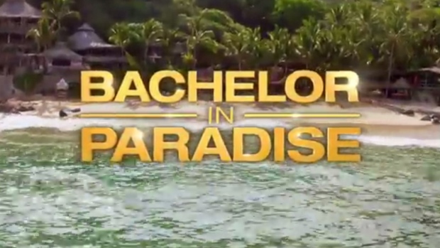 bachelor-in-paradise